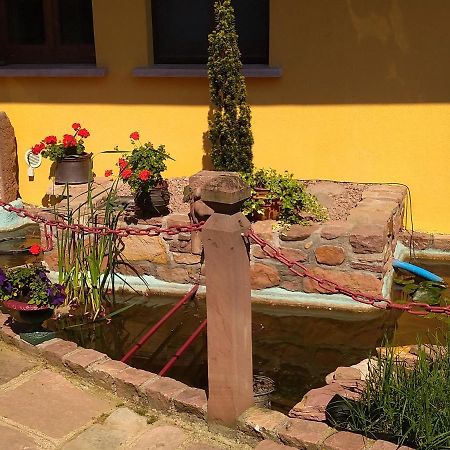 Le Pélican Apartamento Wittenheim Exterior foto