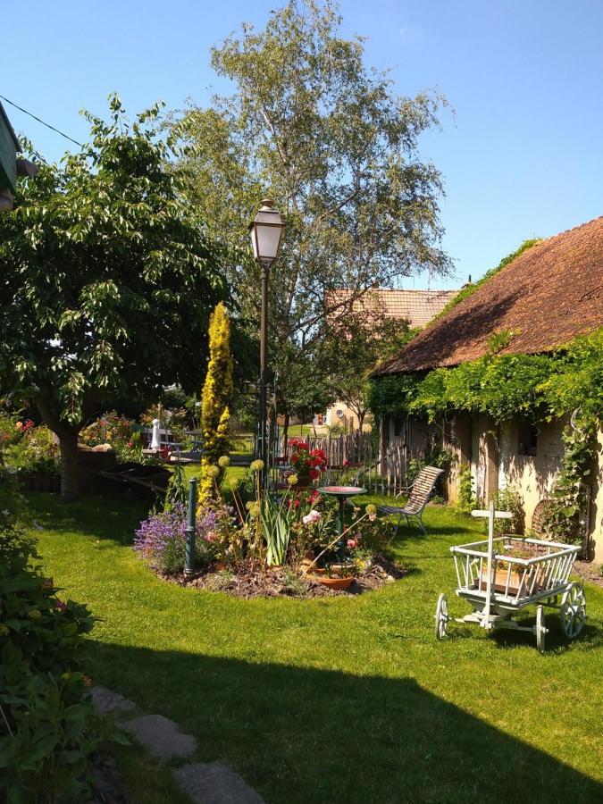 Le Pélican Apartamento Wittenheim Exterior foto